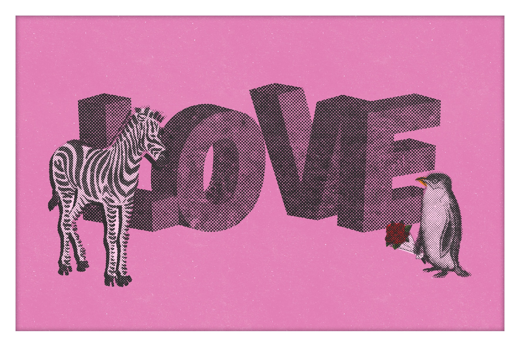 ILoveYou-007-Zebre