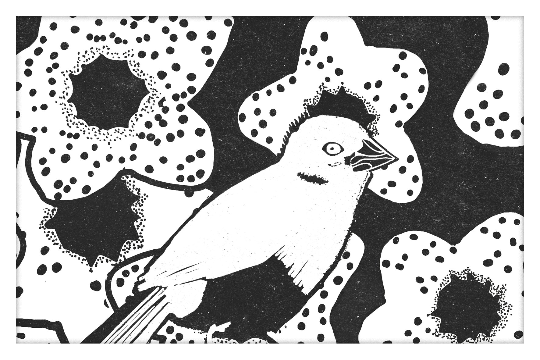 Noir&Blanc-008-Oiseau