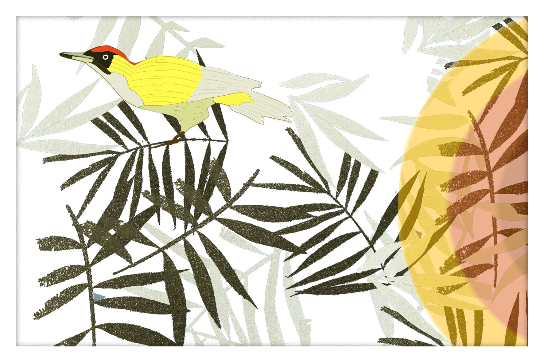 0009-pic vert- nature et animaux25-09