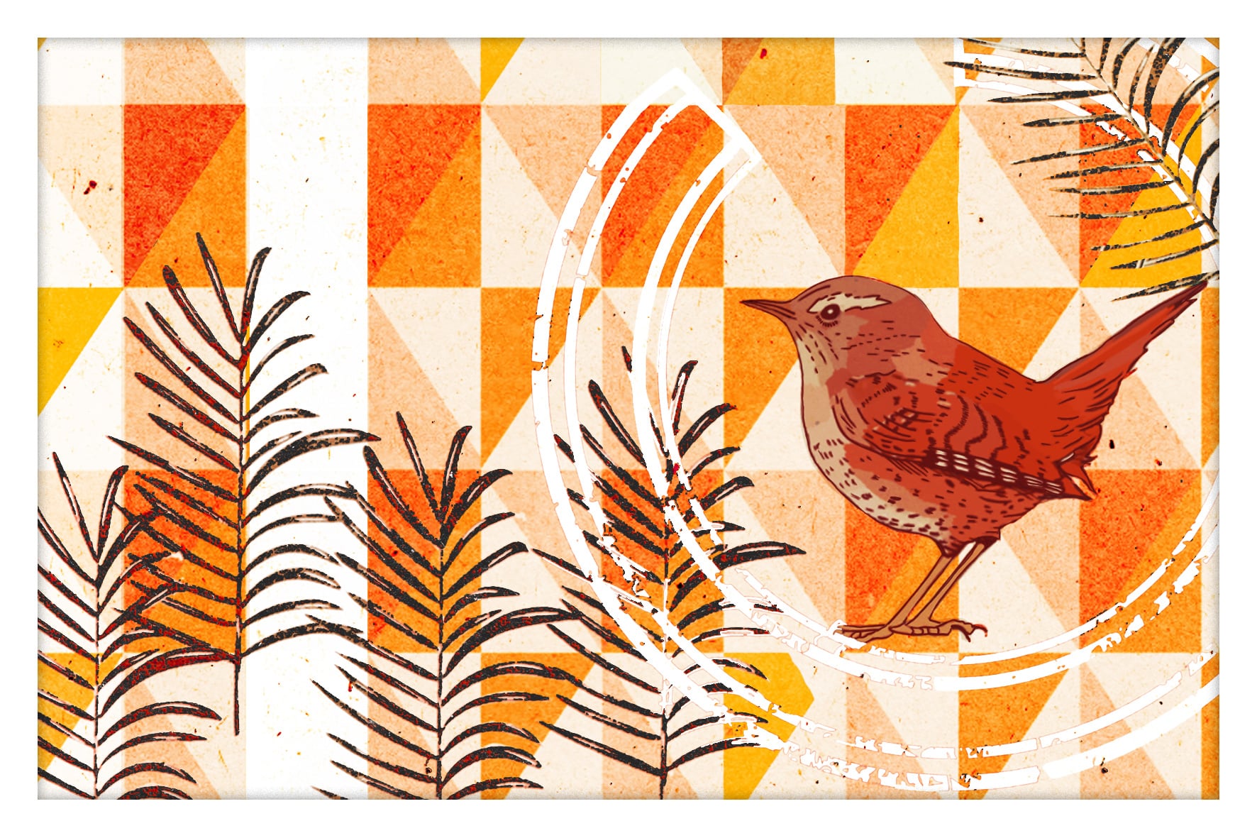 0005-moineau-nature et animaux25-05