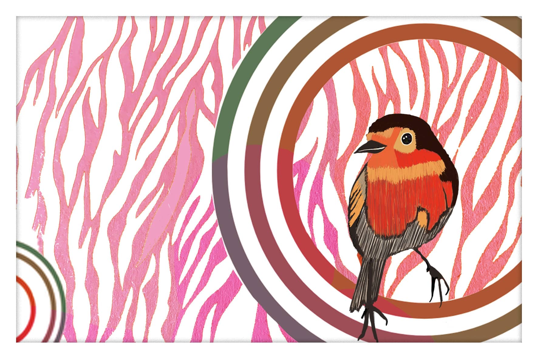 0003-rouge-gorge-nature et animaux25-03