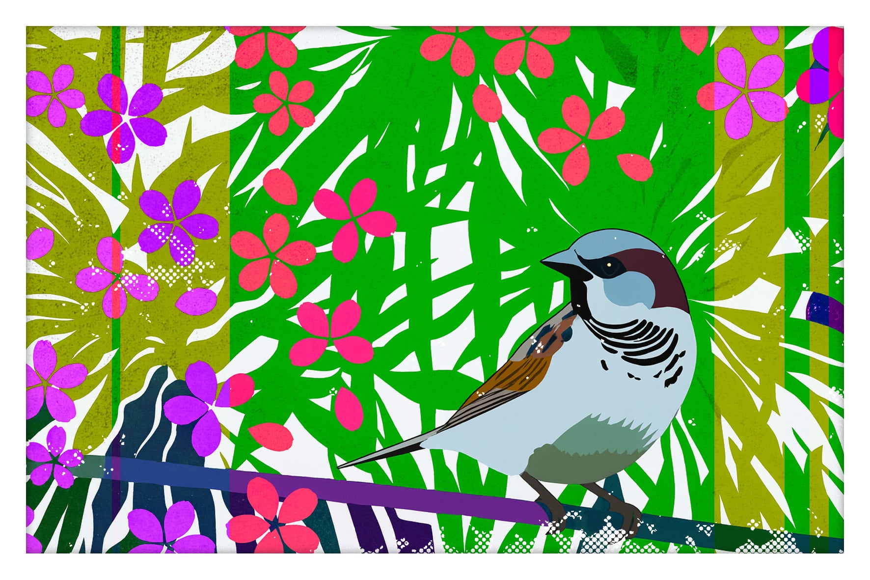 0001-mésange-nature et animaux25-01