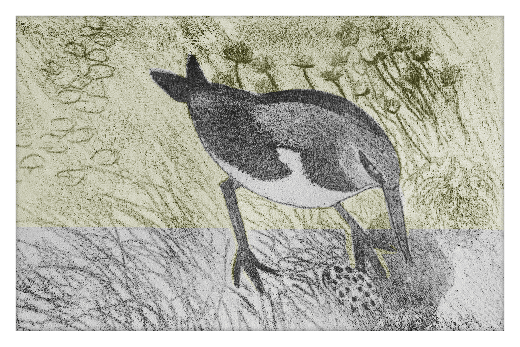 08-Guêpier-nature et animaux-prod26- 08