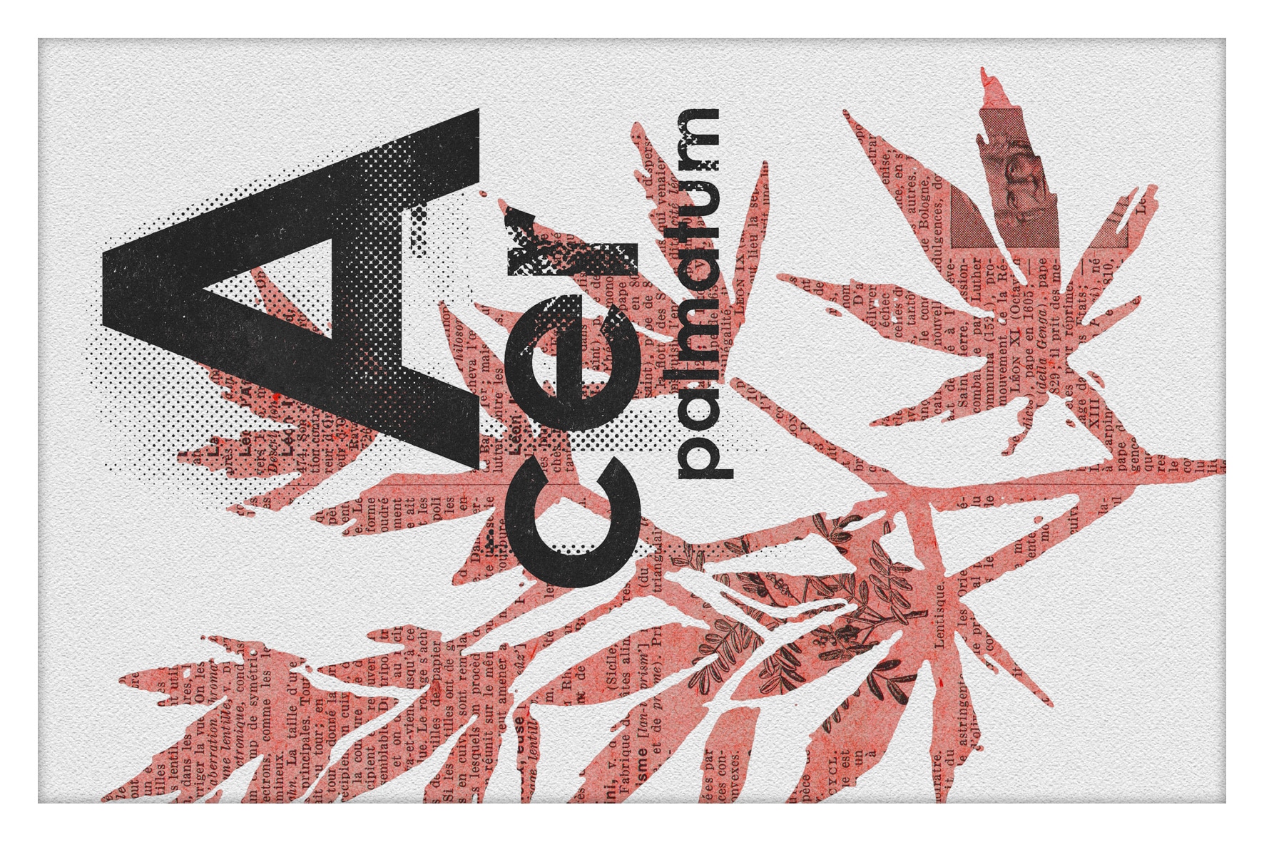 11-Botanica26-05