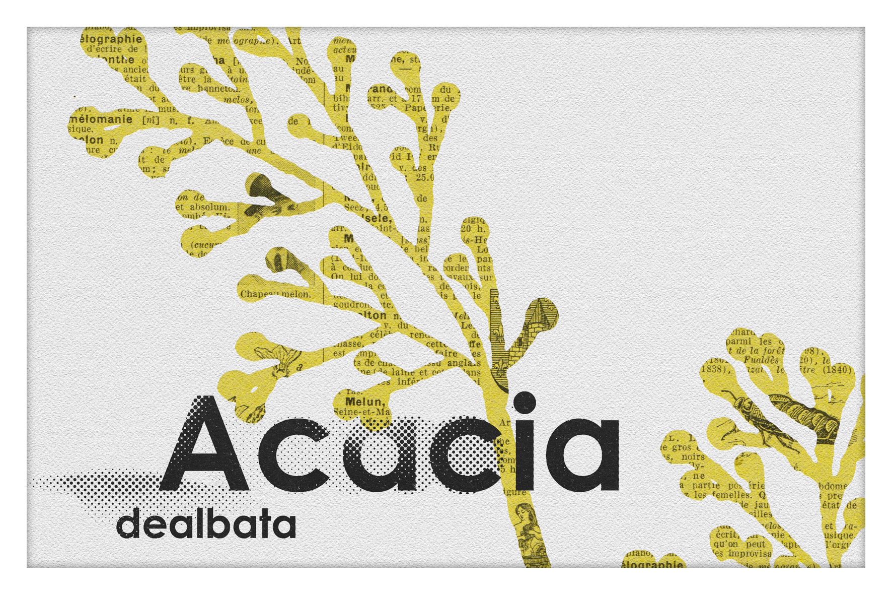 09-Botanica26-09
